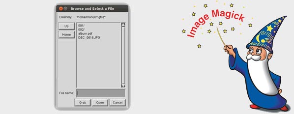 debian install imagemagick debian install imagemagick